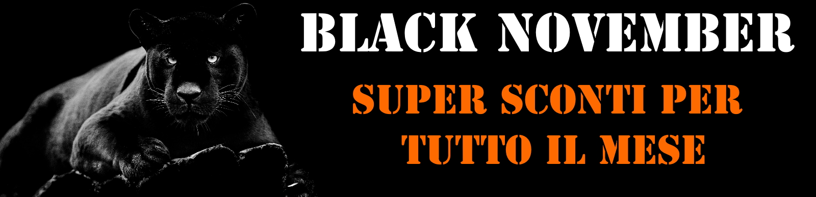 BLACK NOVEMBER 2